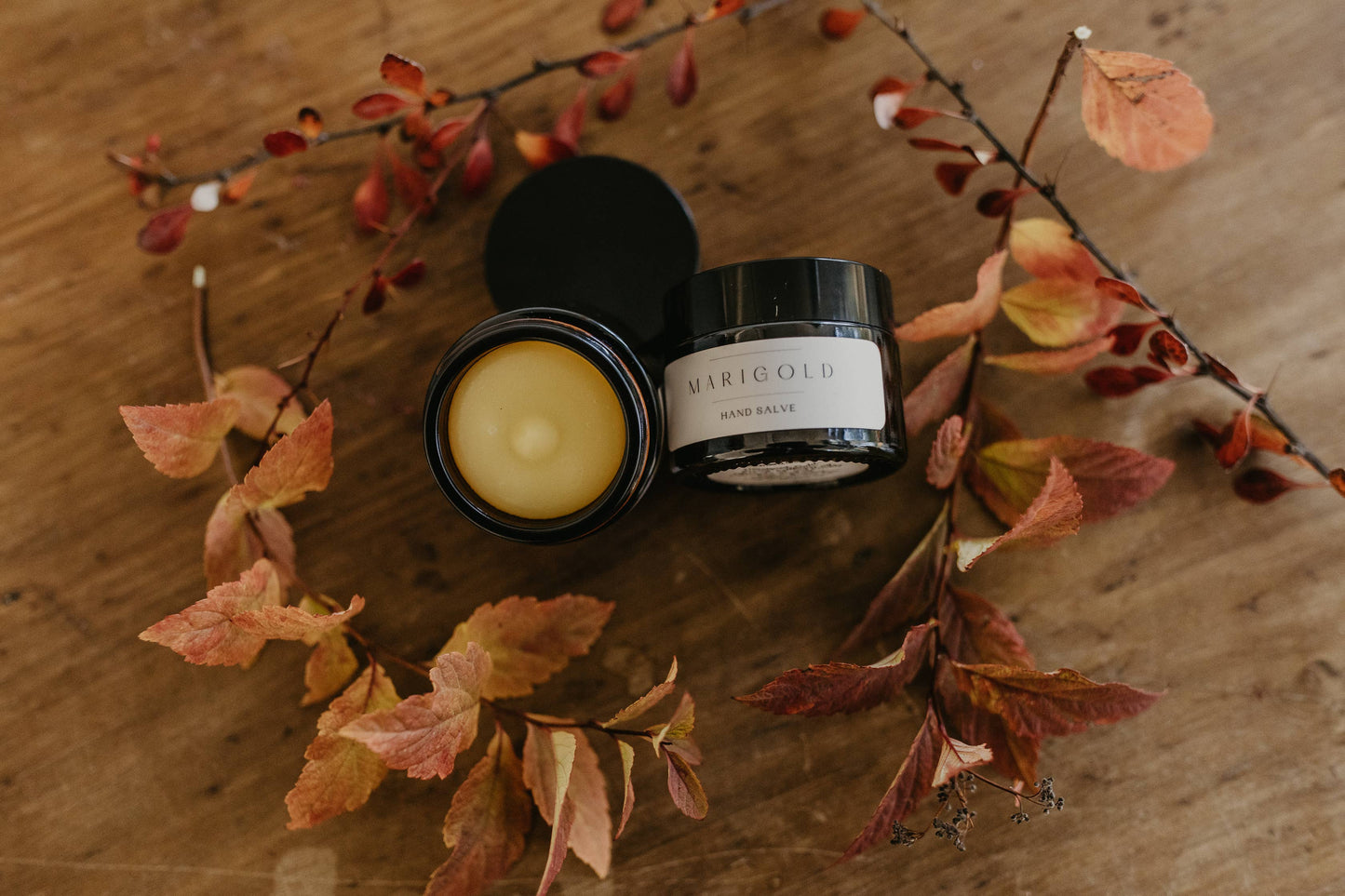 Skin Salve: 25ml / Scent Free
