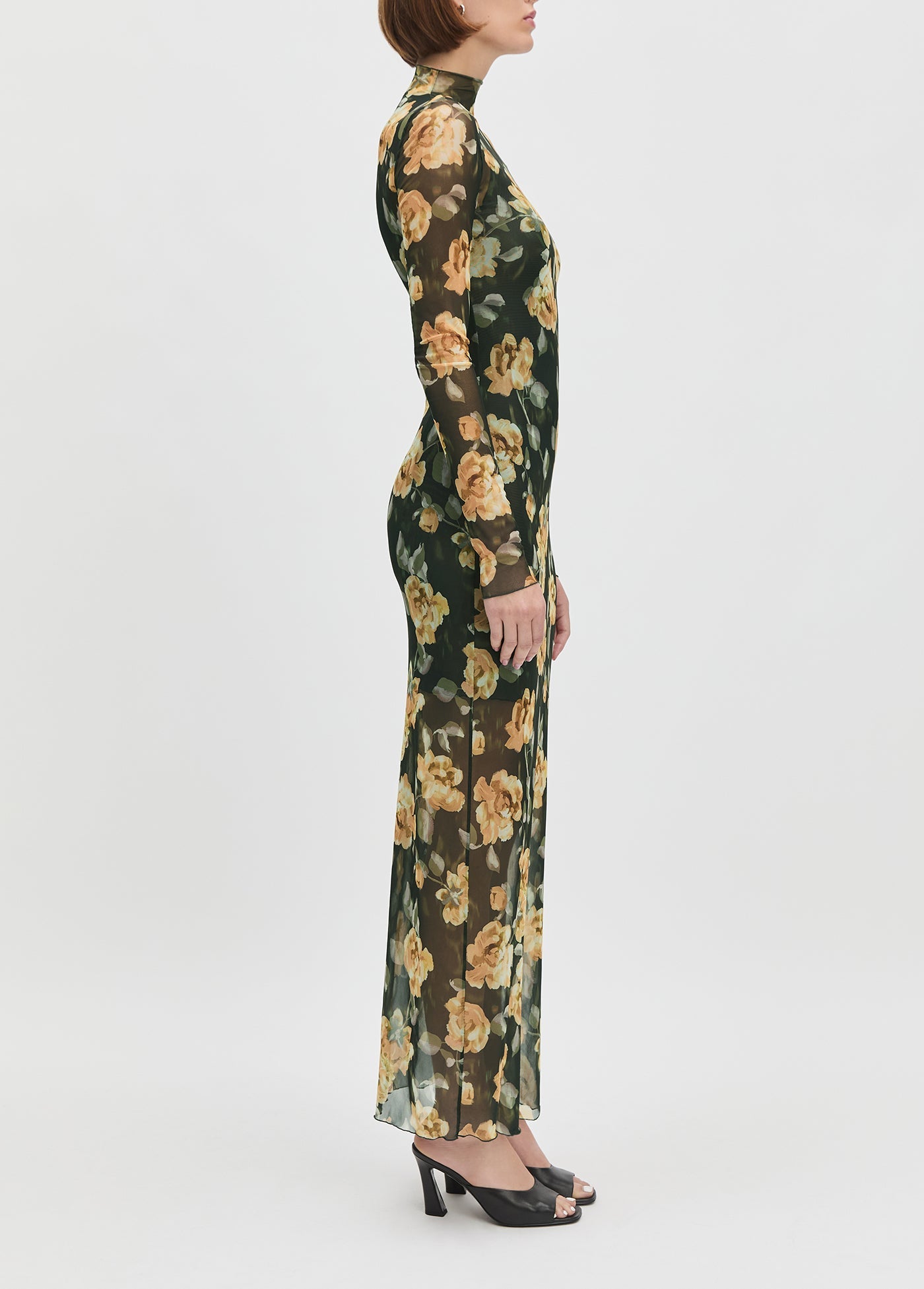 The Sheer Fantasy Dress